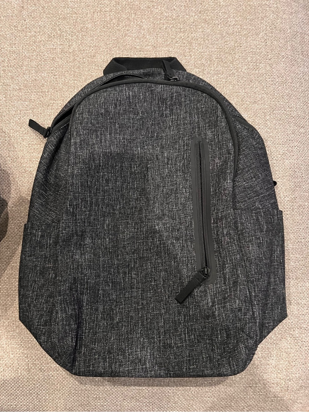 Everlane Backpack